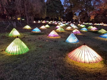 国営昭和記念公園 秋の夜散歩に投稿された画像（2022/12/7）