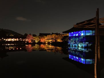 NAKEDヨルモウデ2022平安神宮に投稿された画像（2022/12/7）