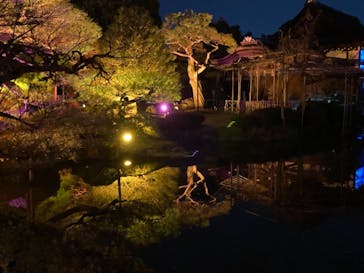 NAKEDヨルモウデ2022平安神宮に投稿された画像（2022/12/7）