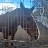 伊香保グリーン牧場に投稿された画像（2022/12/7）