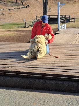 伊香保グリーン牧場に投稿された画像（2022/12/7）