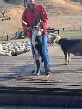 伊香保グリーン牧場に投稿された画像（2022/12/7）