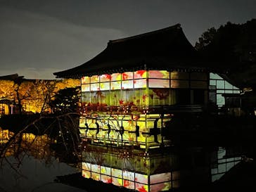 NAKEDヨルモウデ2022平安神宮に投稿された画像（2022/12/7）