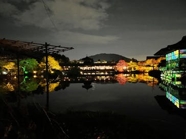 NAKEDヨルモウデ2022平安神宮に投稿された画像（2022/12/7）