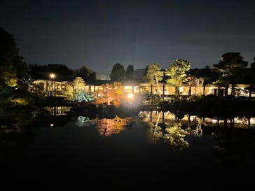 NAKEDヨルモウデ2022平安神宮に投稿された画像（2022/12/7）