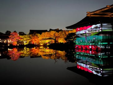 NAKEDヨルモウデ2022平安神宮に投稿された画像（2022/12/7）