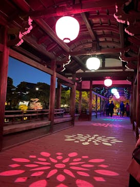 NAKEDヨルモウデ2022平安神宮に投稿された画像（2022/12/7）