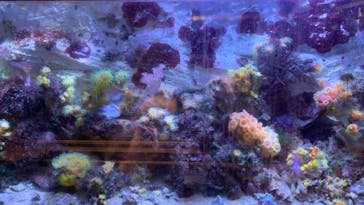 九十九島水族館海きららに投稿された画像（2022/12/7）