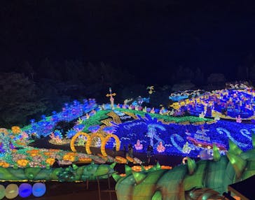 伊豆ぐらんぱる公園に投稿された画像（2022/12/7）