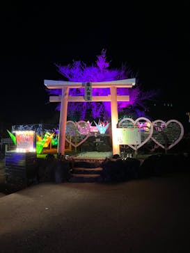 伊豆ぐらんぱる公園に投稿された画像（2022/12/7）