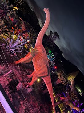 伊豆ぐらんぱる公園に投稿された画像（2022/12/7）