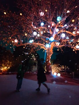 西武園ゆうえんちに投稿された画像（2022/12/7）