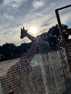 東武動物公園に投稿された画像（2022/12/8）