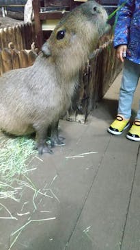 カワスイ 川崎⽔族館に投稿された画像（2022/12/8）