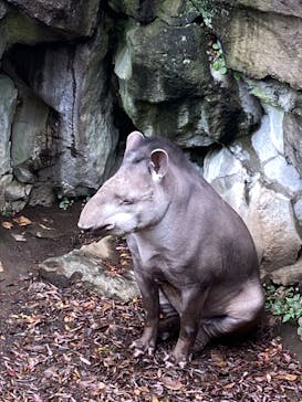 伊豆シャボテン動物公園に投稿された画像（2022/12/8）