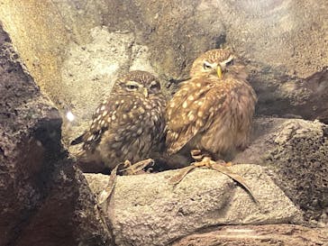 伊豆シャボテン動物公園に投稿された画像（2022/12/8）