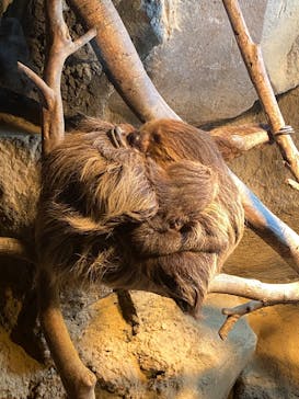 伊豆シャボテン動物公園に投稿された画像（2022/12/8）