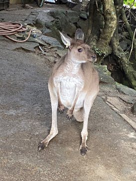 伊豆シャボテン動物公園に投稿された画像（2022/12/8）