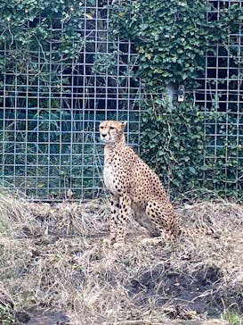 伊豆アニマルキングダムに投稿された画像（2022/12/8）