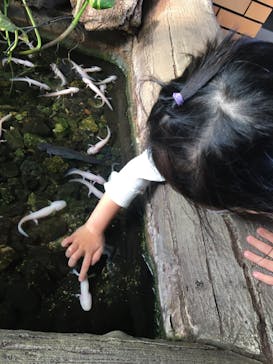 体感型動物園iZooに投稿された画像（2022/12/8）