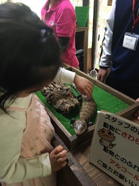 体感型動物園iZooに投稿された画像（2022/12/8）