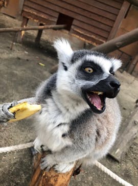 しろとり動物園に投稿された画像（2022/12/8）