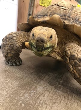 しろとり動物園に投稿された画像（2022/12/8）