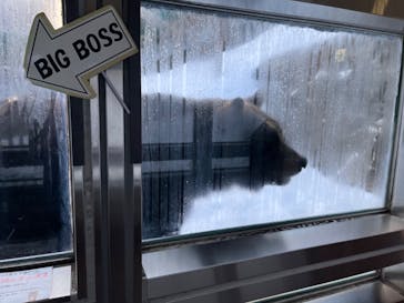 のぼりべつクマ牧場に投稿された画像（2022/12/8）