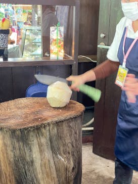 おきなわワールドに投稿された画像（2022/12/8）