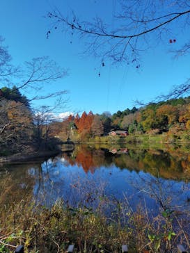 ムーミンバレーパークに投稿された画像（2022/12/8）