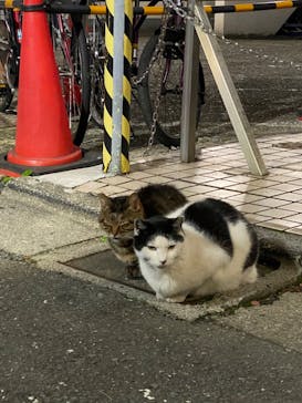 ルビーパレスに投稿された画像（2022/12/8）