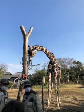 天王寺動物園に投稿された画像（2022/12/8）