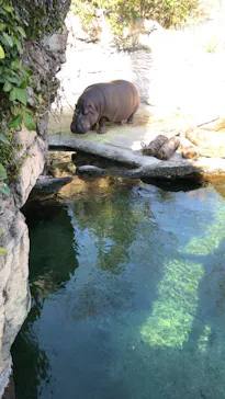 天王寺動物園に投稿された画像（2022/12/8）