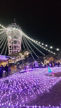江の島シーキャンドルに投稿された画像（2022/12/8）