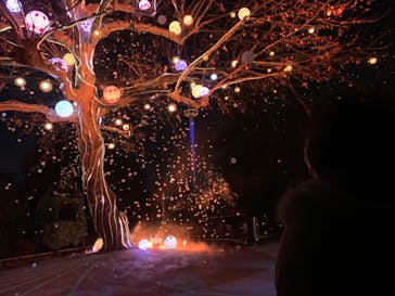 西武園ゆうえんちに投稿された画像（2022/12/8）