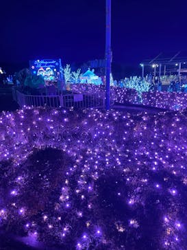 さがみ湖MORI MORIに投稿された画像（2022/12/8）