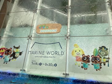 マリンワールド海の中道に投稿された画像（2022/8/23）