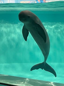 マリンワールド海の中道に投稿された画像（2022/12/9）