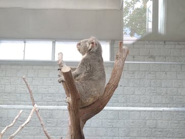 淡路ファームパーク イングランドの丘に投稿された画像（2022/12/9）