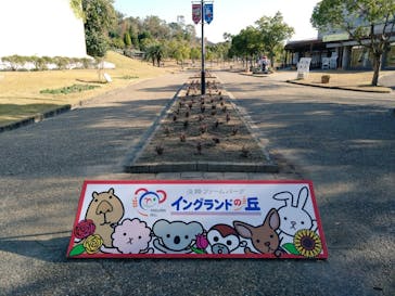 淡路ファームパーク イングランドの丘に投稿された画像（2022/12/9）