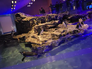 すみだ水族館に投稿された画像（2022/12/9）