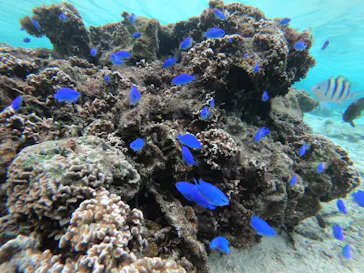 武藤潜水に投稿された画像（2022/12/9）