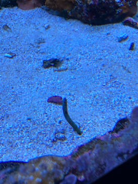 サンシャイン水族館に投稿された画像（2022/12/9）