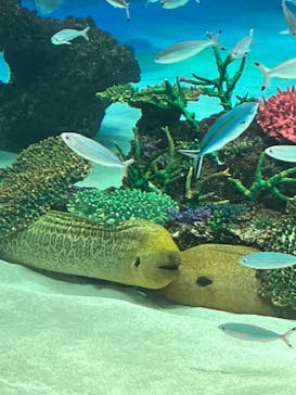 サンシャイン水族館に投稿された画像（2022/12/9）