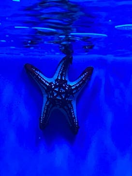 サンシャイン水族館に投稿された画像（2022/12/9）