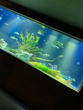 サンシャイン水族館に投稿された画像（2022/12/9）