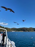 伊根湾めぐり遊覧船に投稿された画像（2022/12/9）