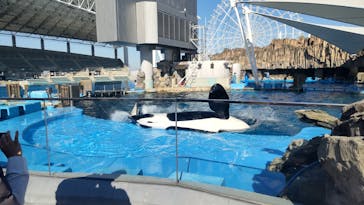 名古屋港水族館に投稿された画像（2022/12/9）