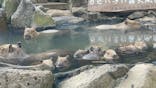 伊豆シャボテン動物公園に投稿された画像（2022/12/9）