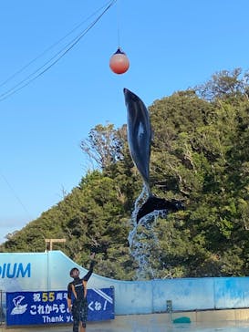 下田海中水族館に投稿された画像（2022/12/9）